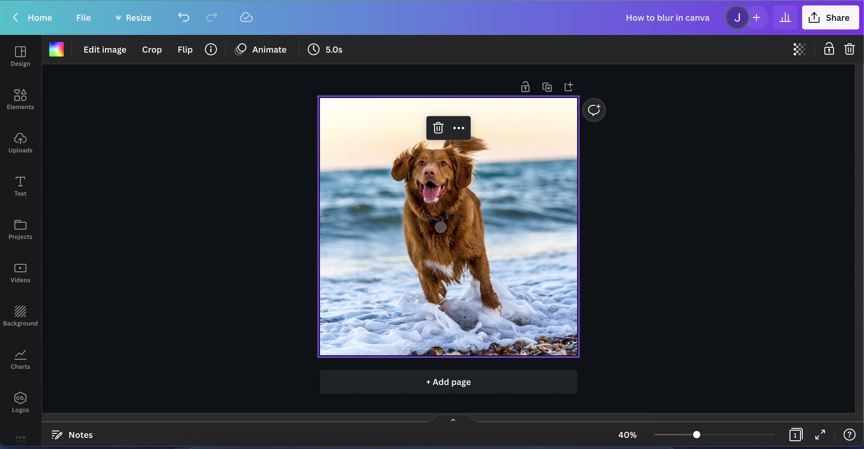 How to Blur in Canva Photos, Texts, & Backgrounds Xenyo